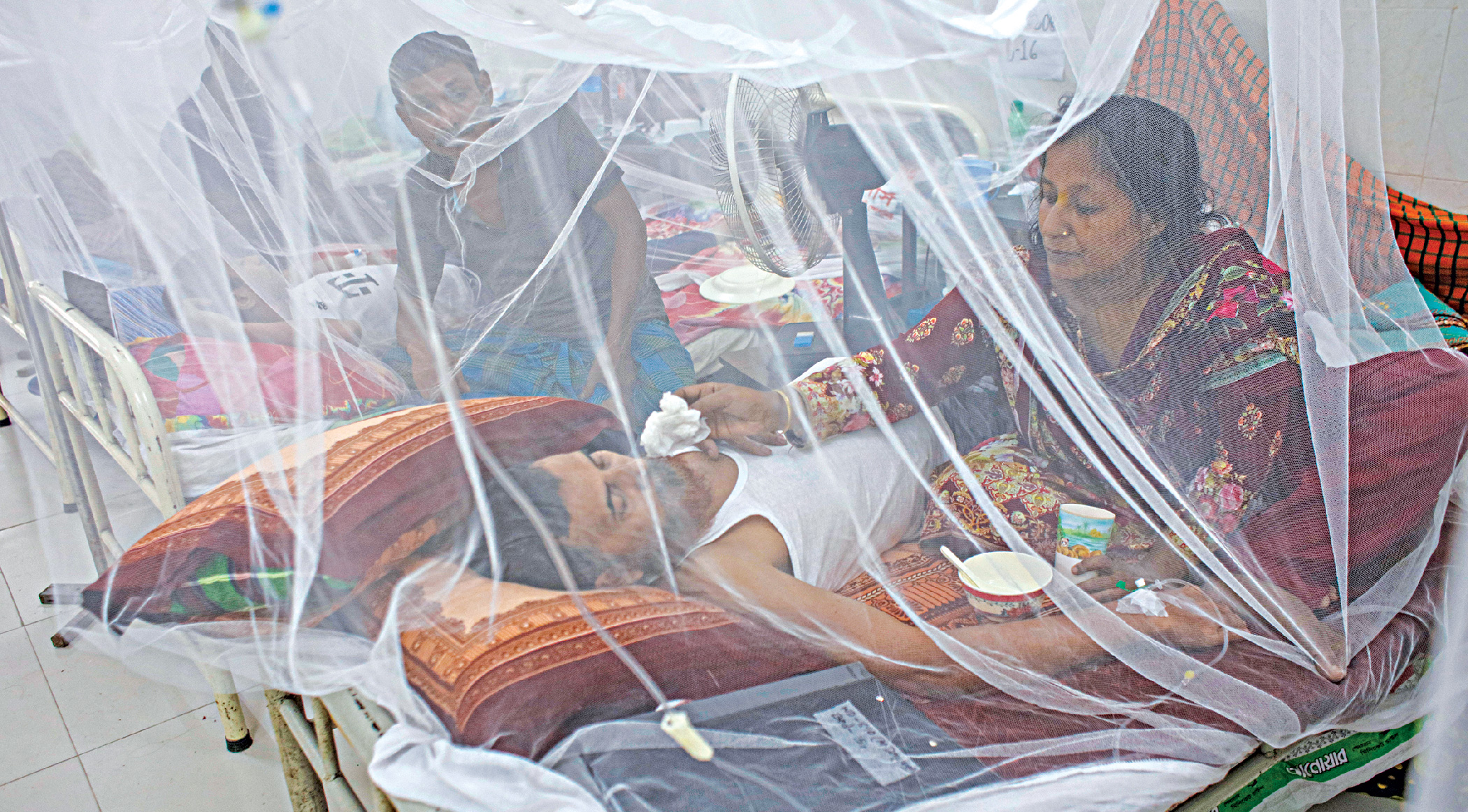 Dengue infection rate 81% higher than last year 