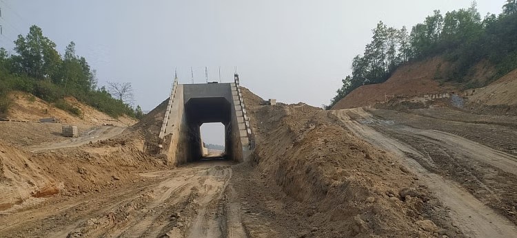 Striking a balance between development and environmental conservation