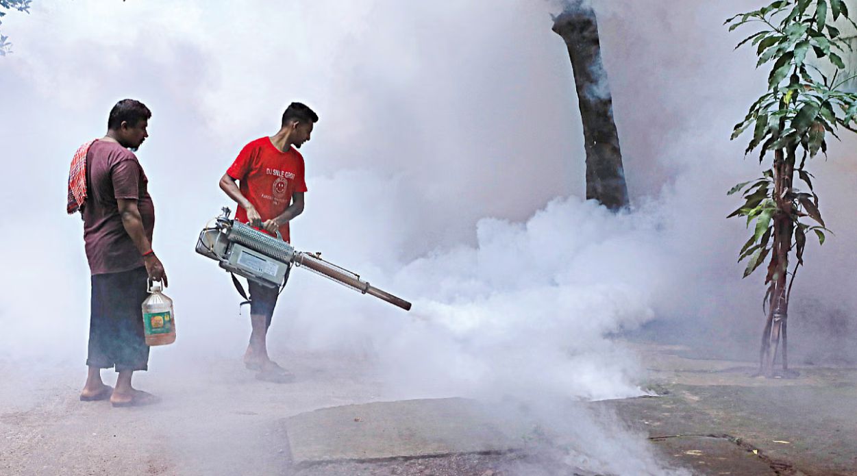 No alternative to a long-term plan