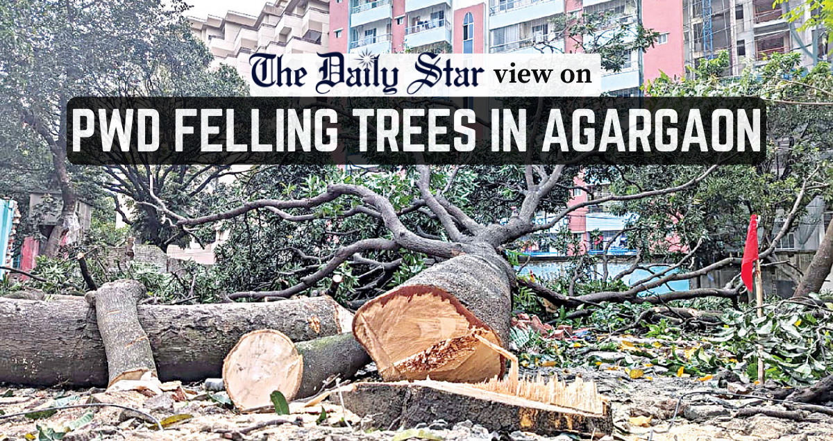Don't make a habit of felling trees