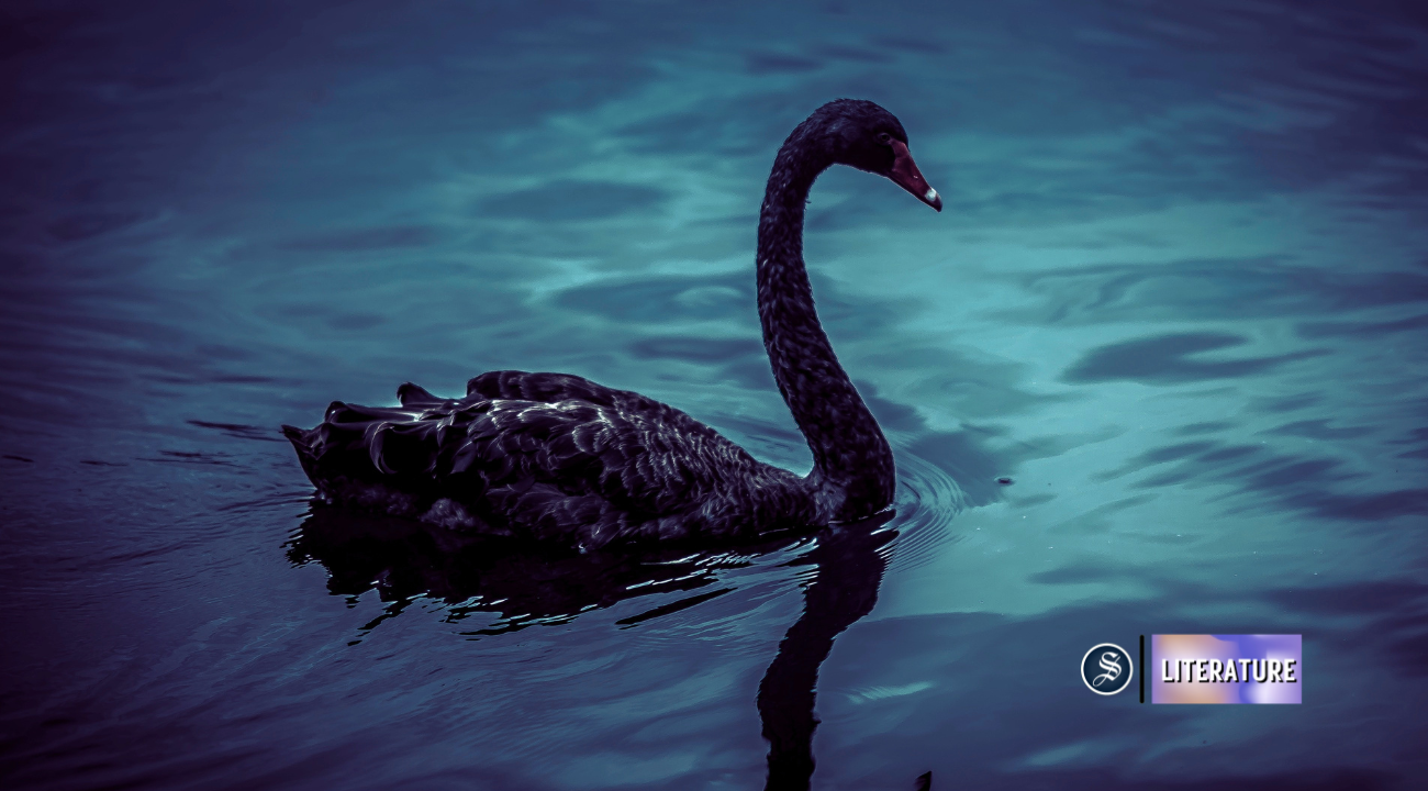 Black swan