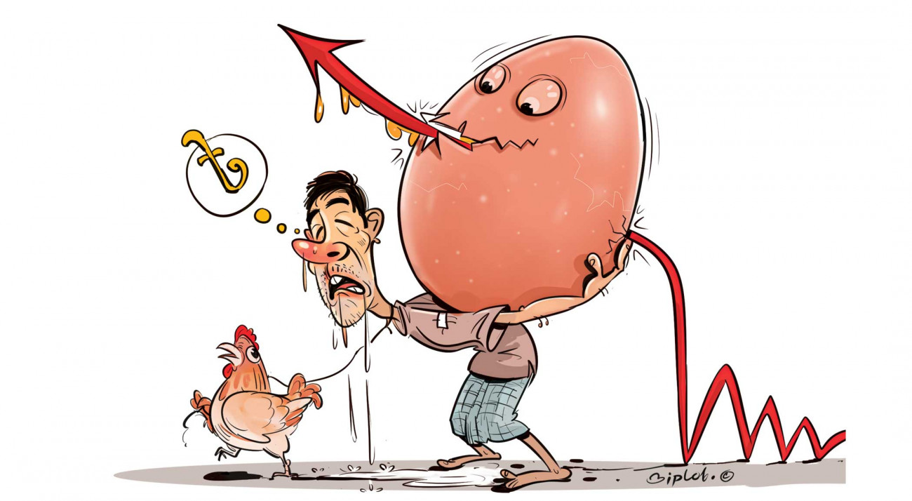 How many eggs are there in our basket?