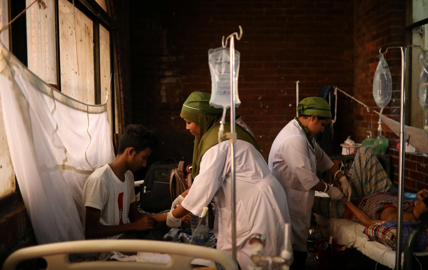 Neglecting public health literacy will cost us