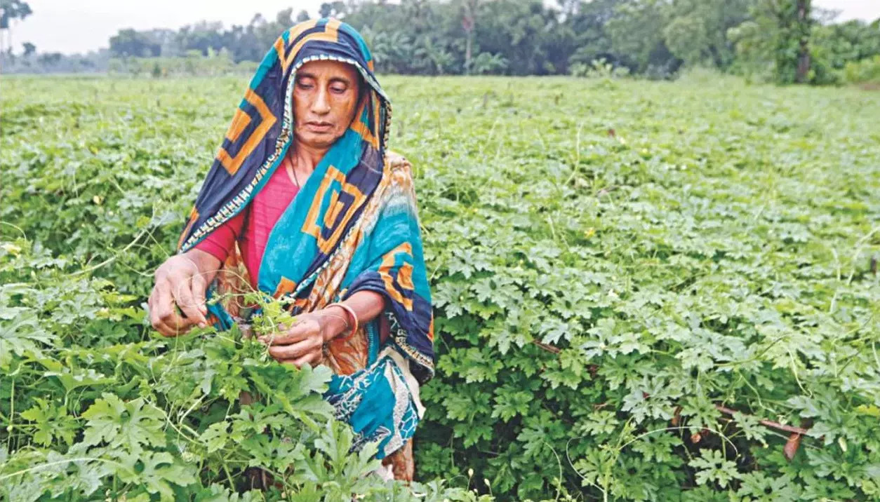 Why do our food producers go hungry? 