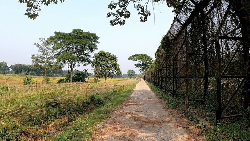 A short trip back home amid World Cup catastrophe