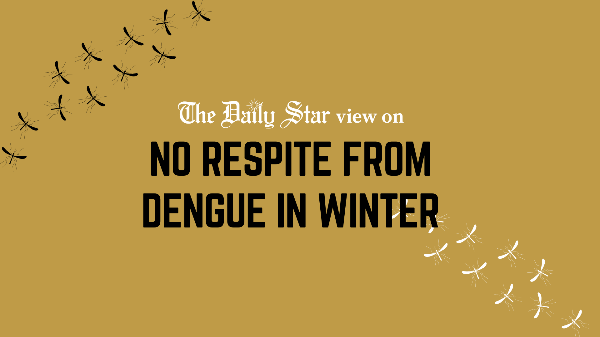 Dengue still raging on