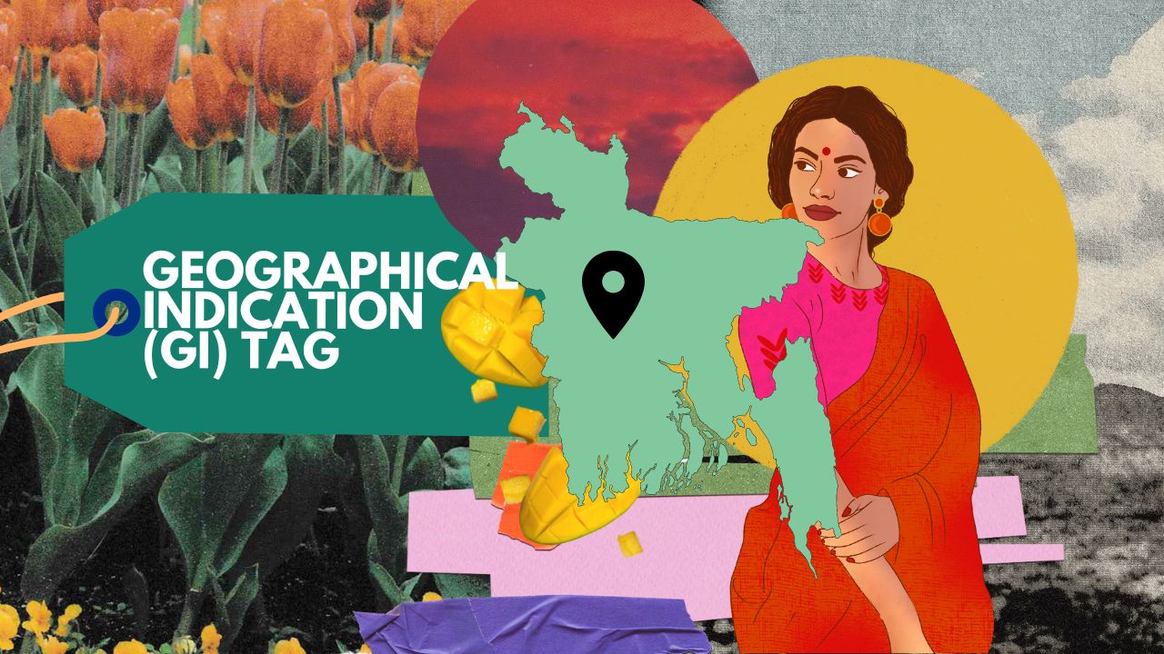 What is a GI recognition and why is it important?