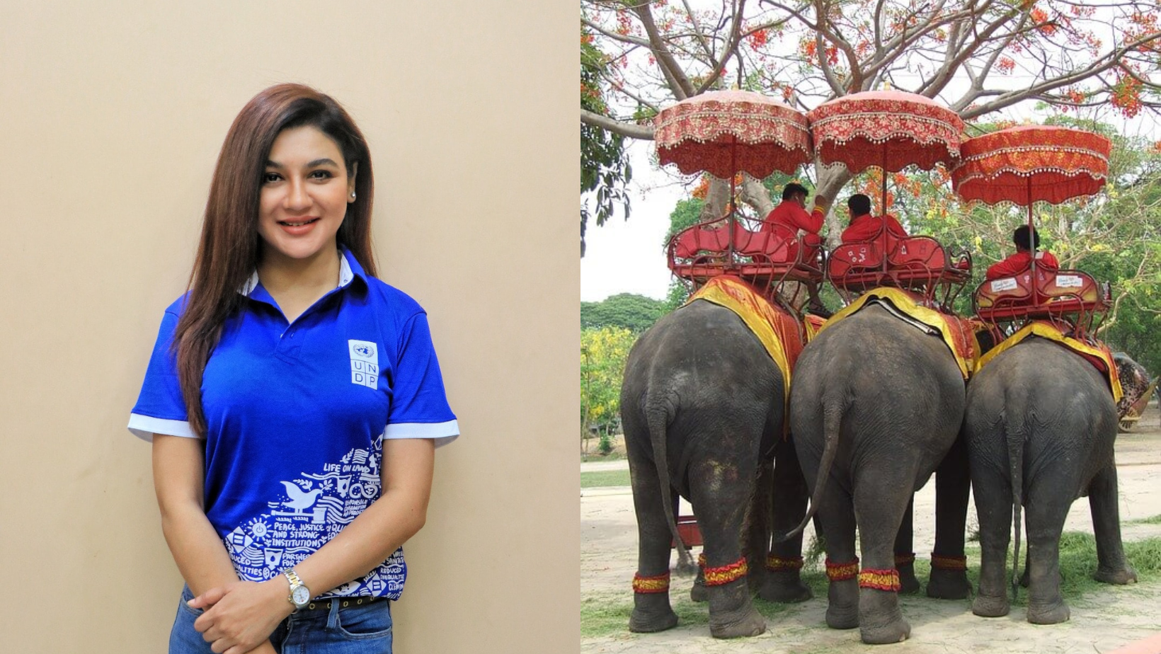 ‘We need to end this barbarity’: Jaya Ahsan on petition to prevent elephant torture