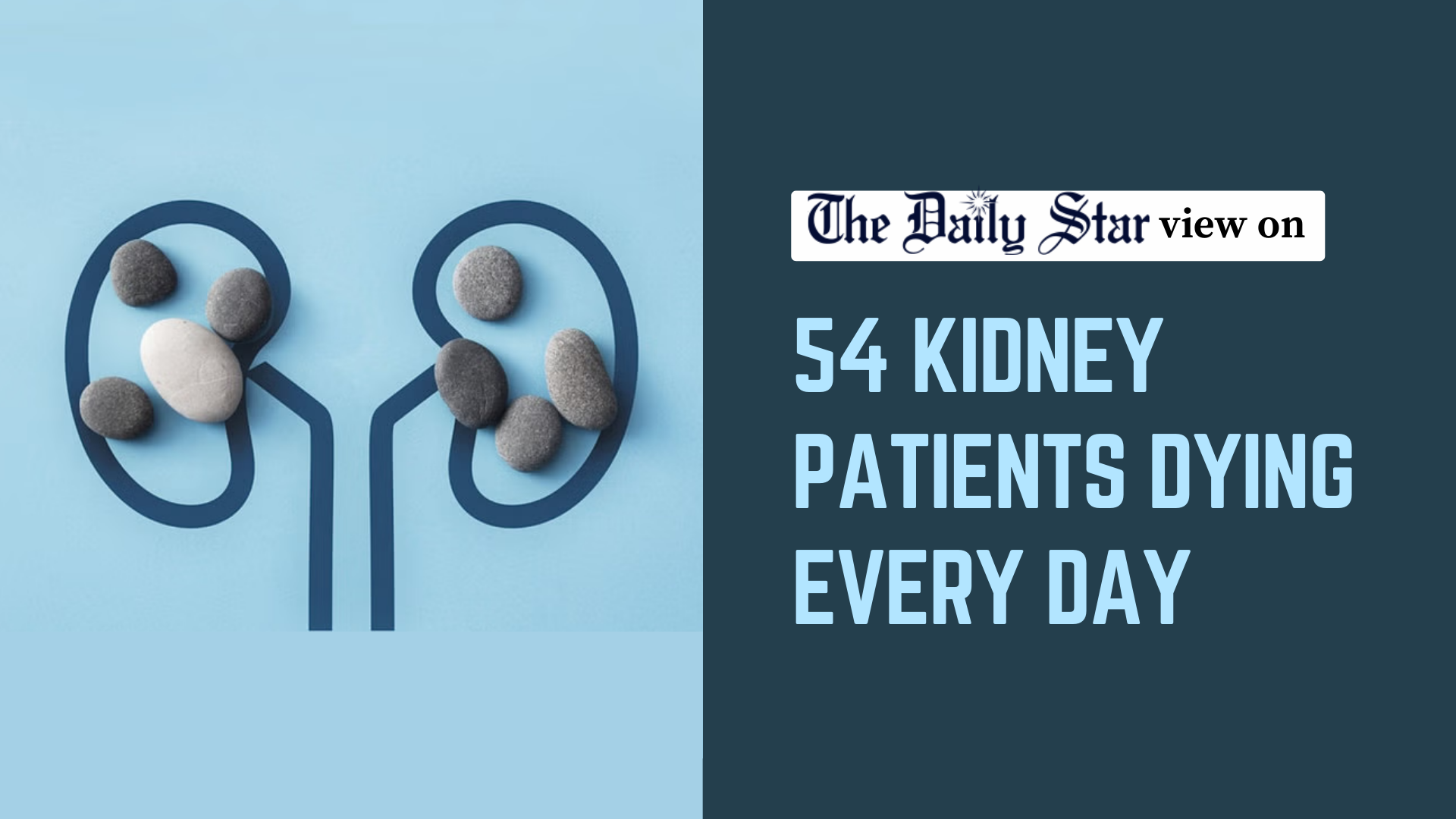 Kidney diseases taking a growing toll