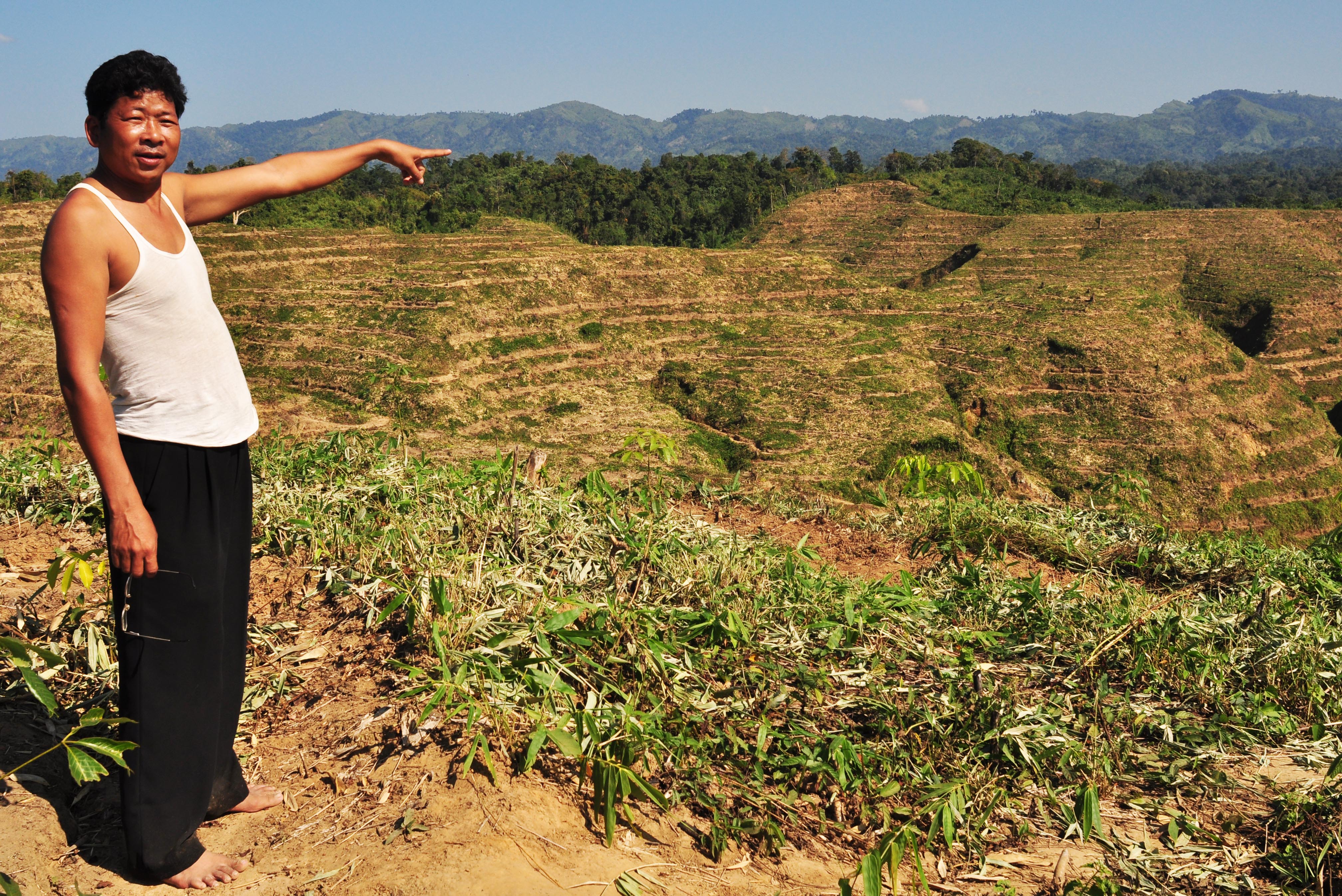 Rubber: A death sentence to natural forests