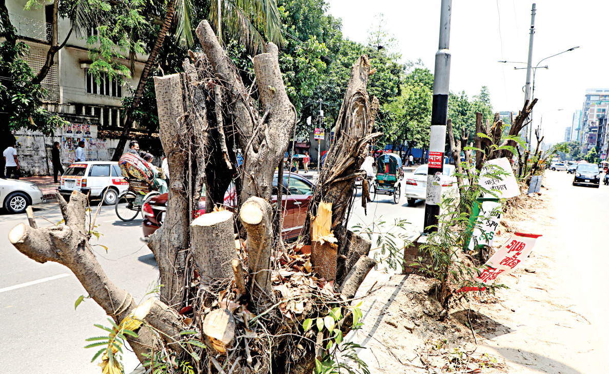 Trees are Dhaka’s saviours