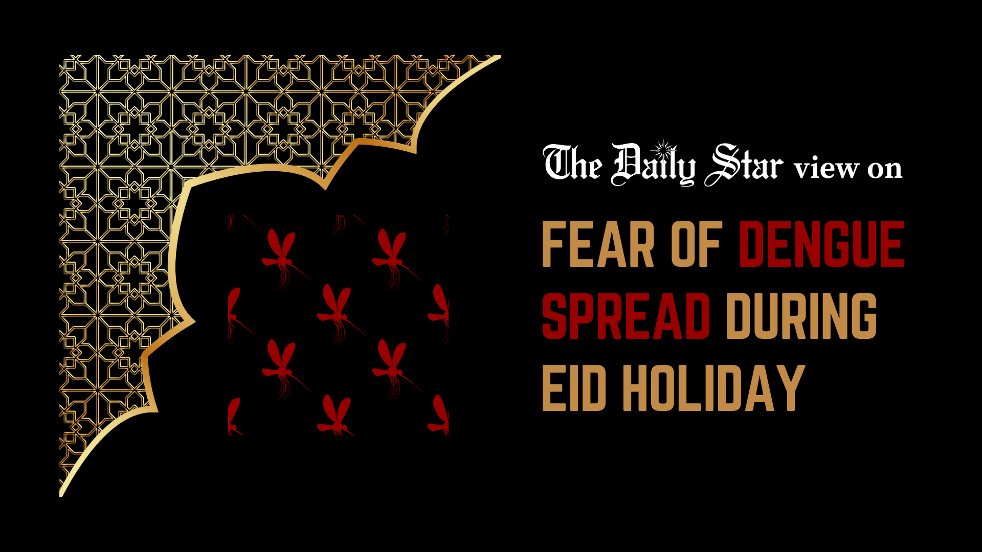 Eid and dengue can be a dangerous mix