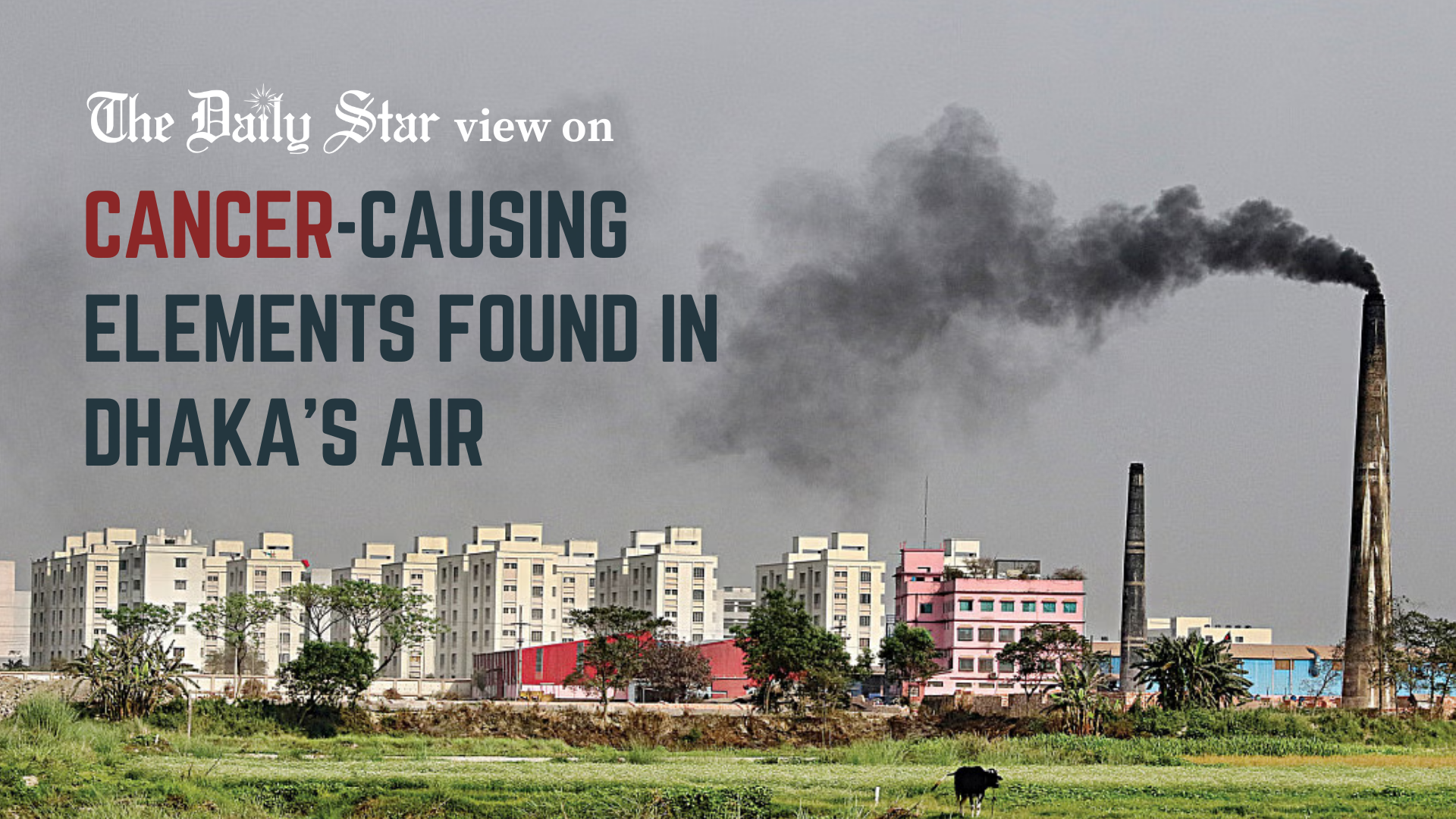 Dhaka's air is now so bad it is causing cancer 