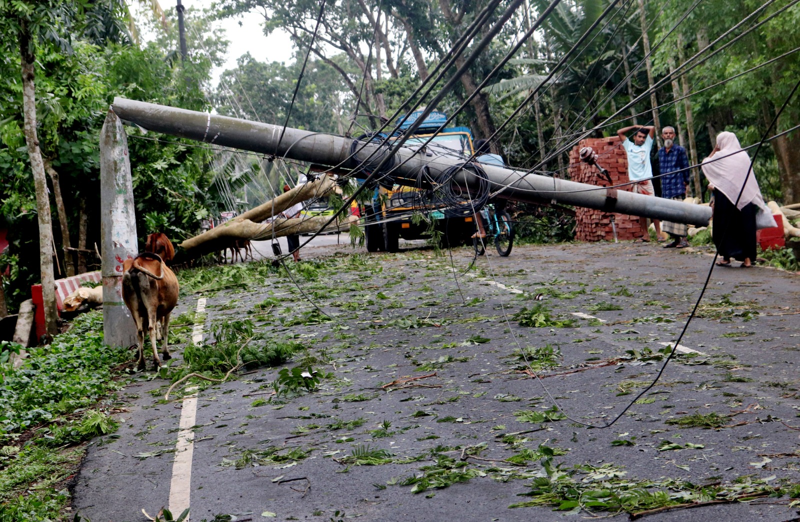 Could a better transmission system ease power outages following Cyclone Remal?