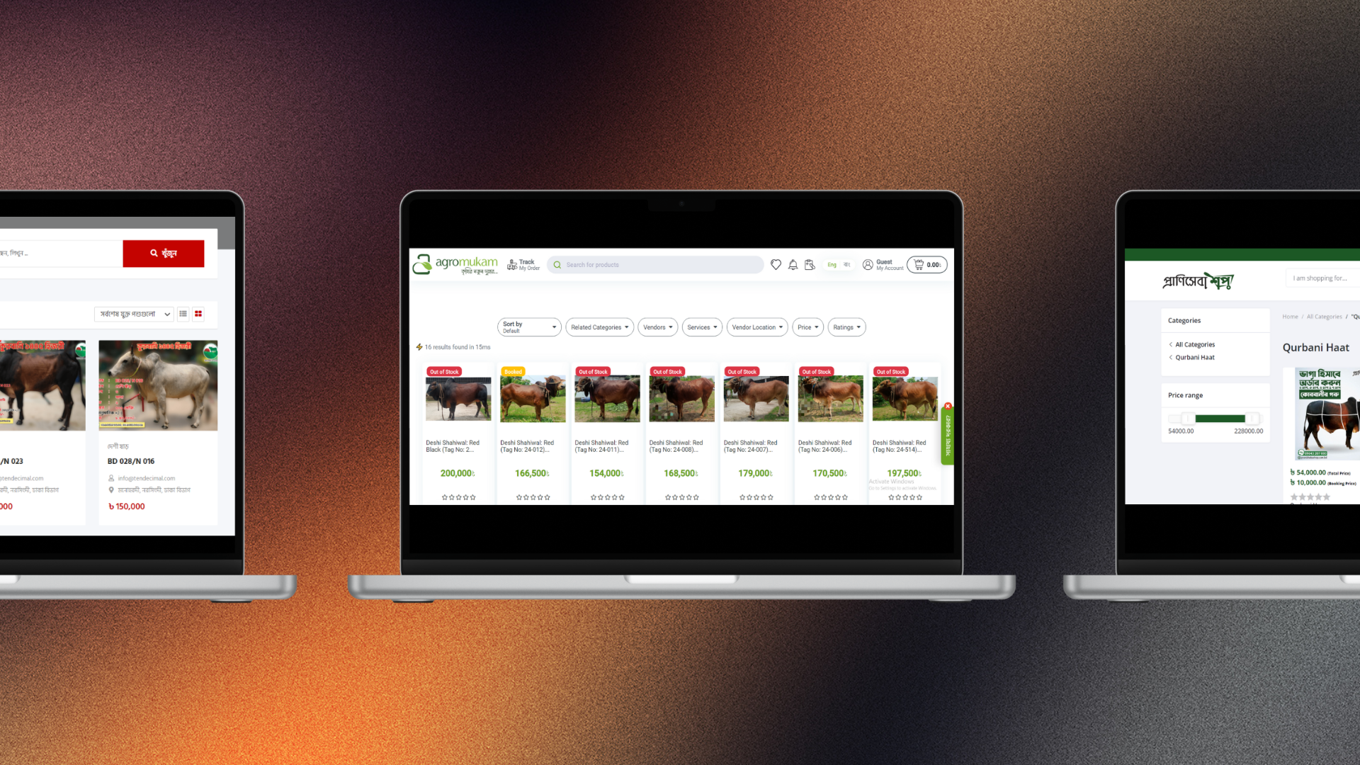 Online cattle ‘haats’ rising in popularity