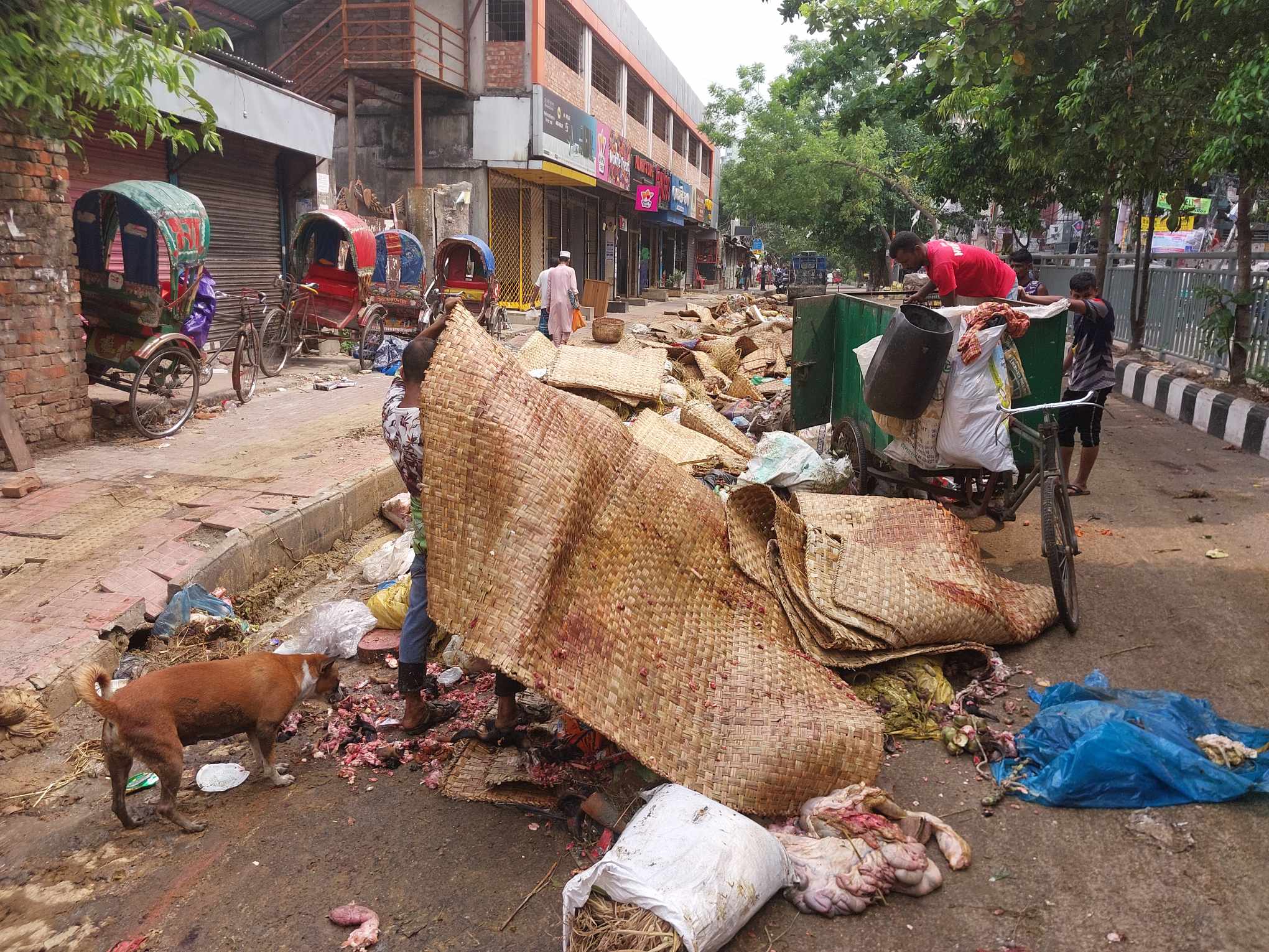 Sacrificial animal waste disposal begins in Dhaka
