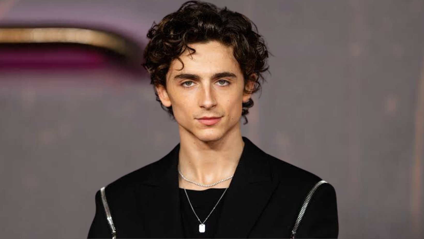Timothée Chalamet to lead in Josh Safdie’s ‘Marty Supreme’ next