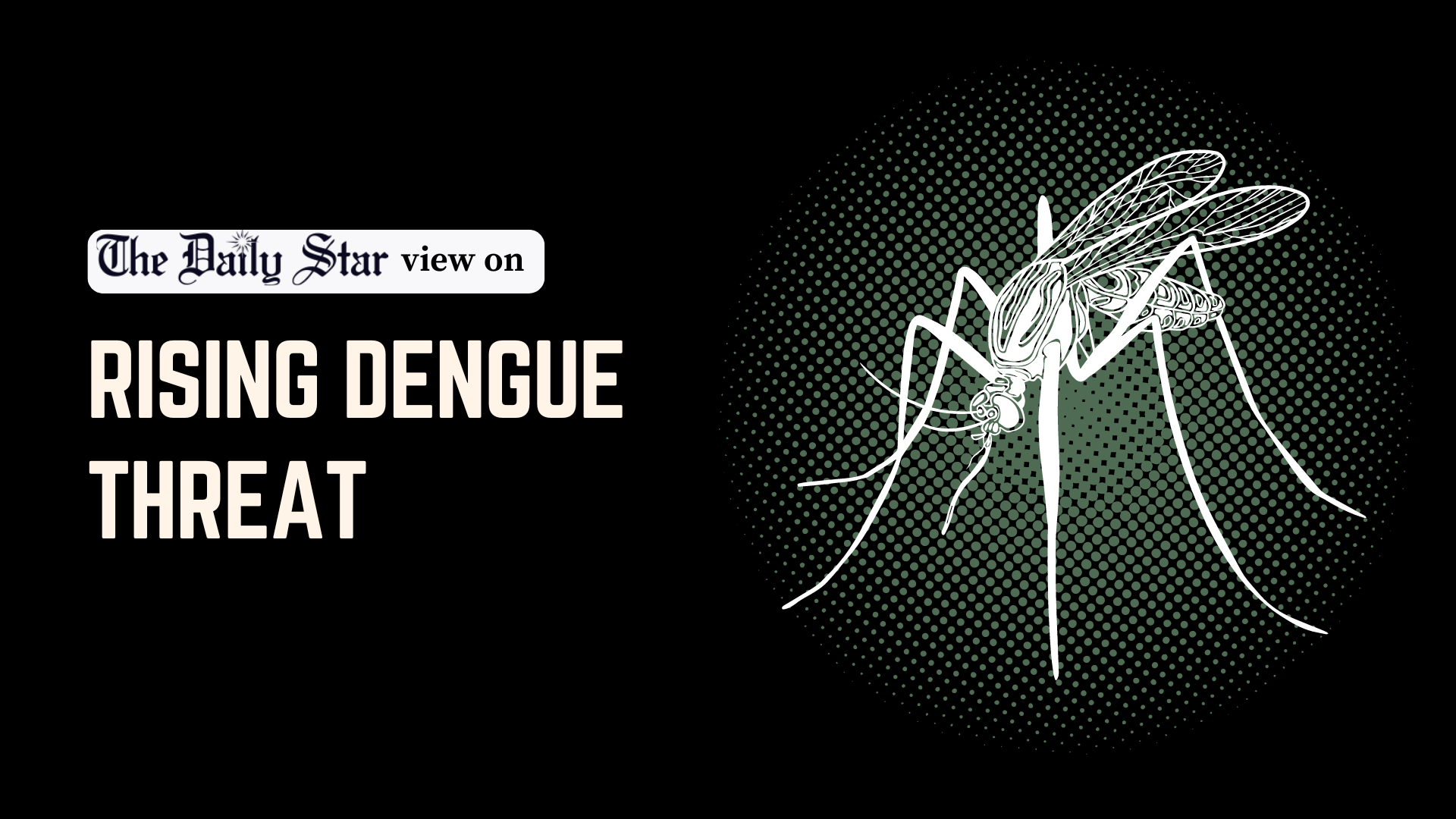 Poor dengue response is increasing the risk