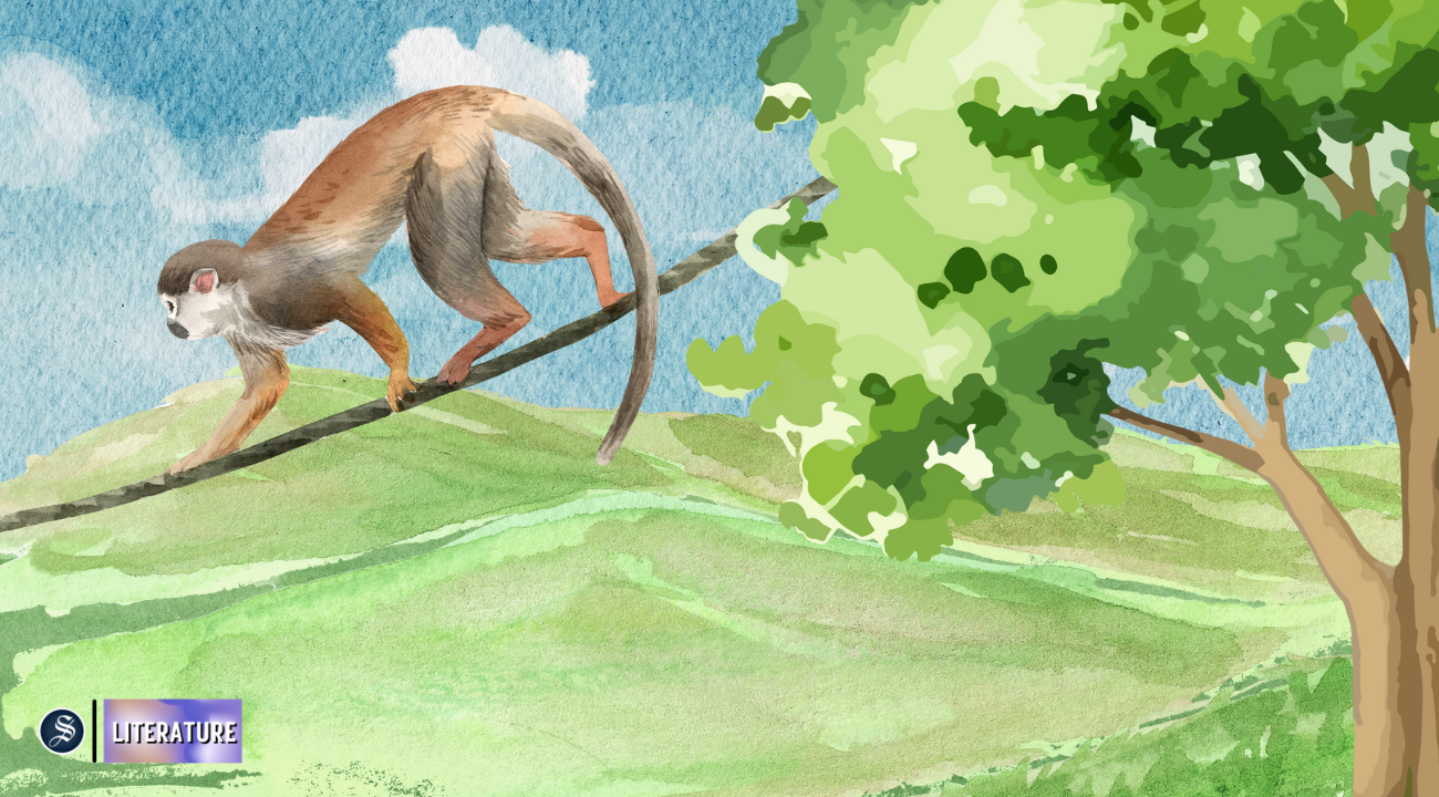 A night in Kalimpong