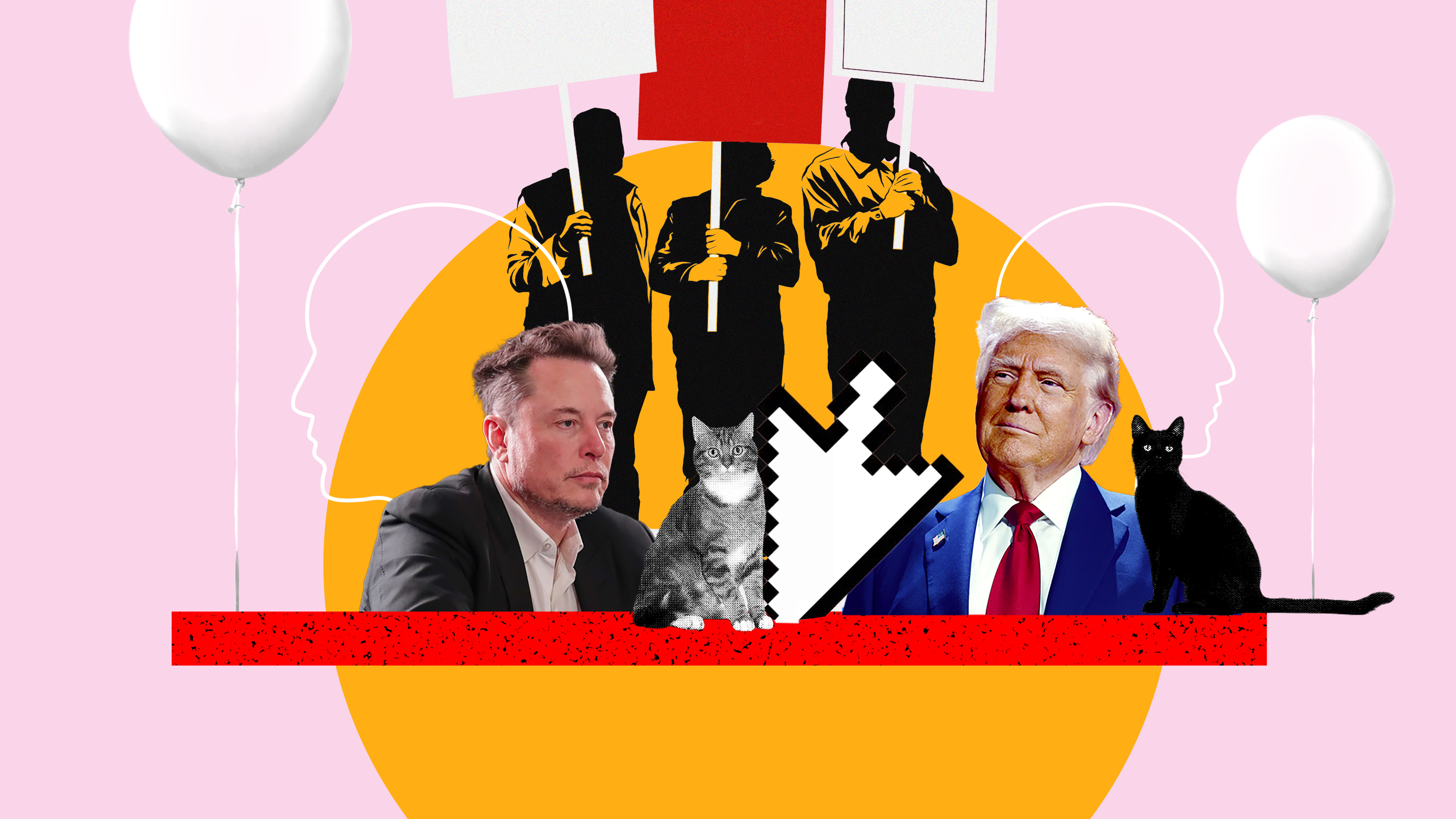 Two cats in the yard