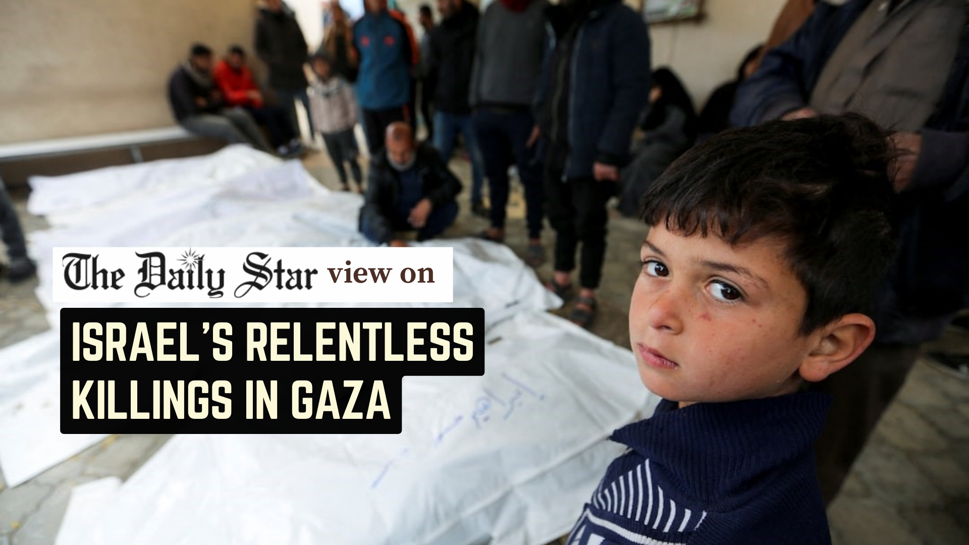 Stop the genocide in Gaza