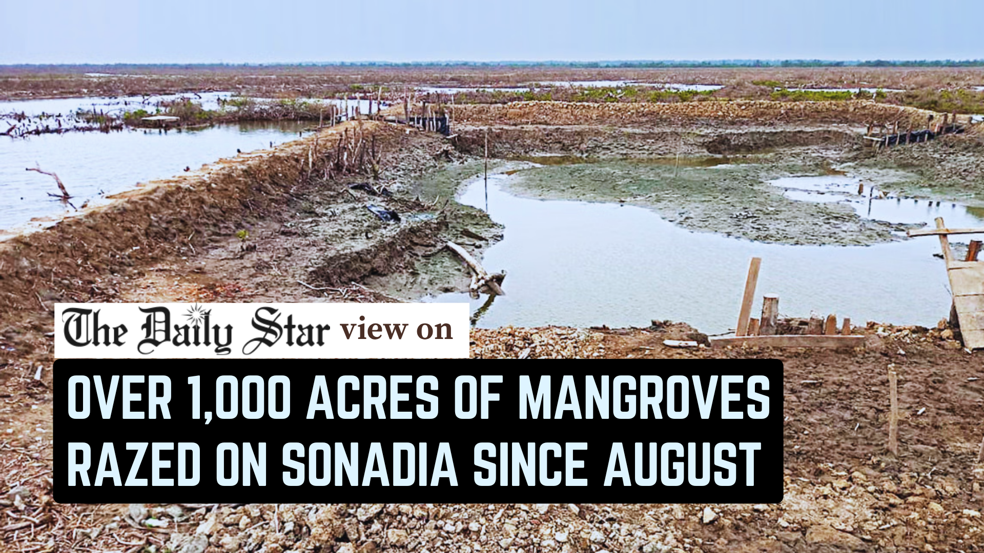 Save Sonadia Island’s mangrove forests