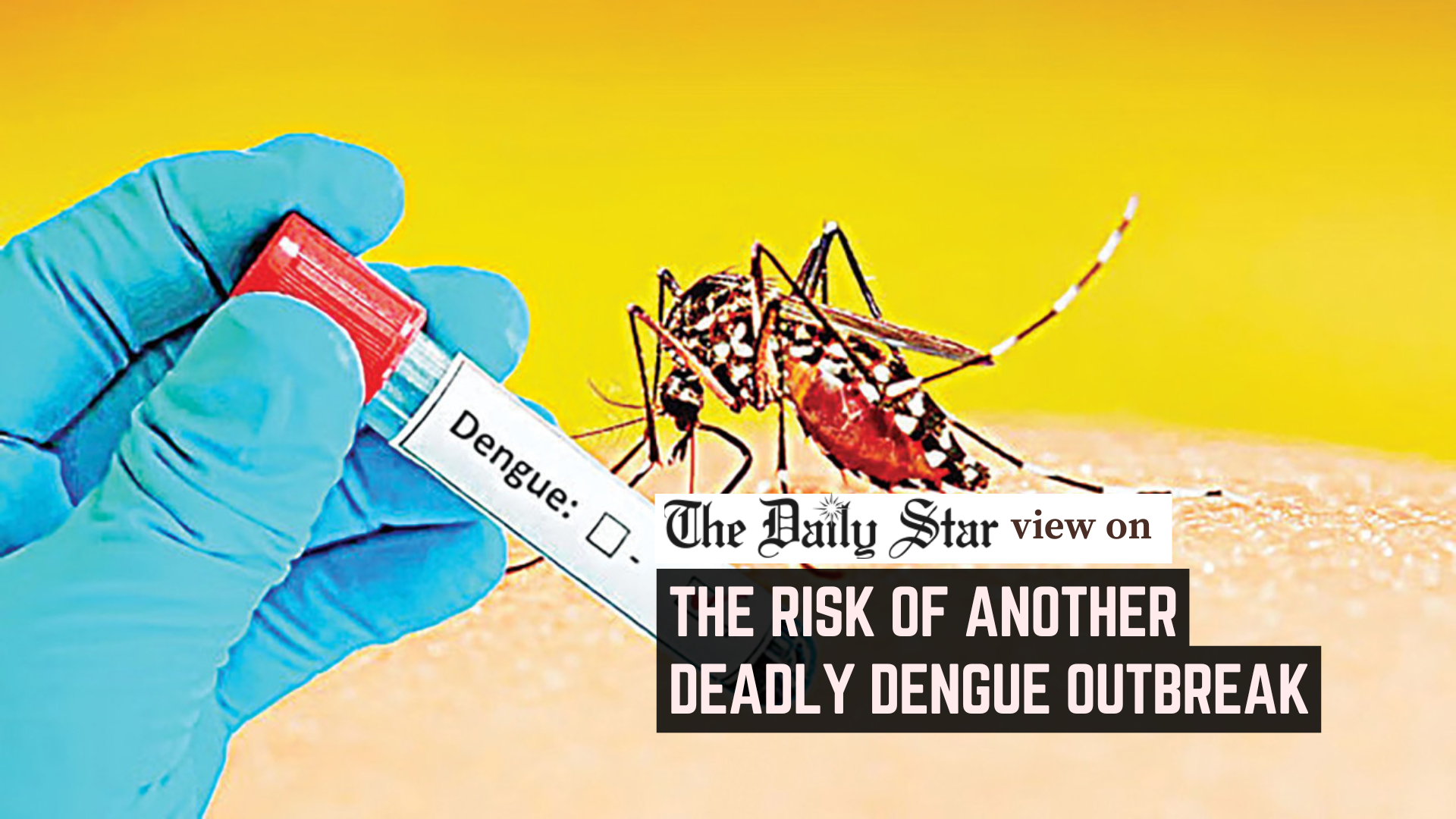 Dengue surge demands urgent action