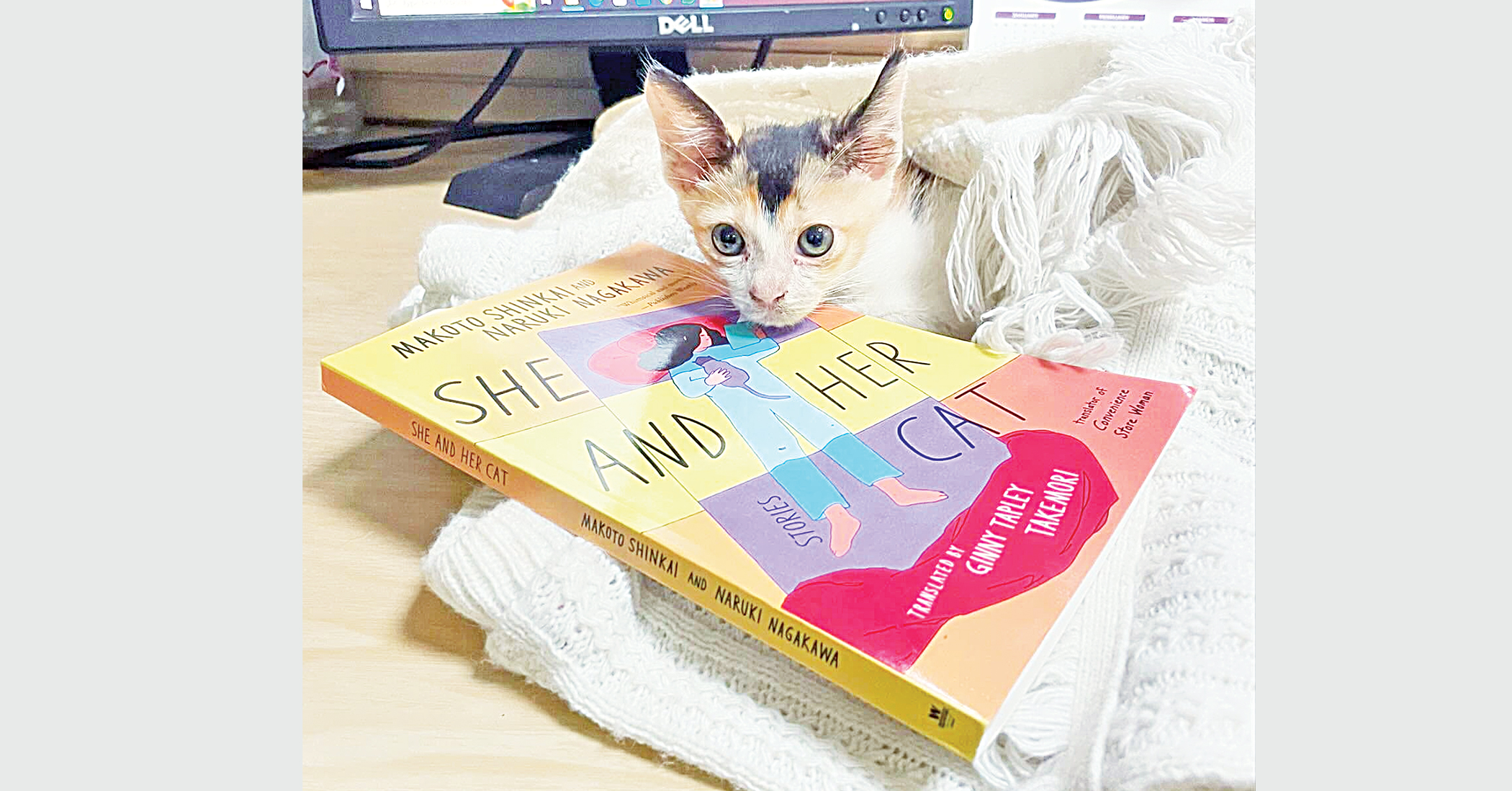 ‘She and Her Cat’  and the quiet power of presence