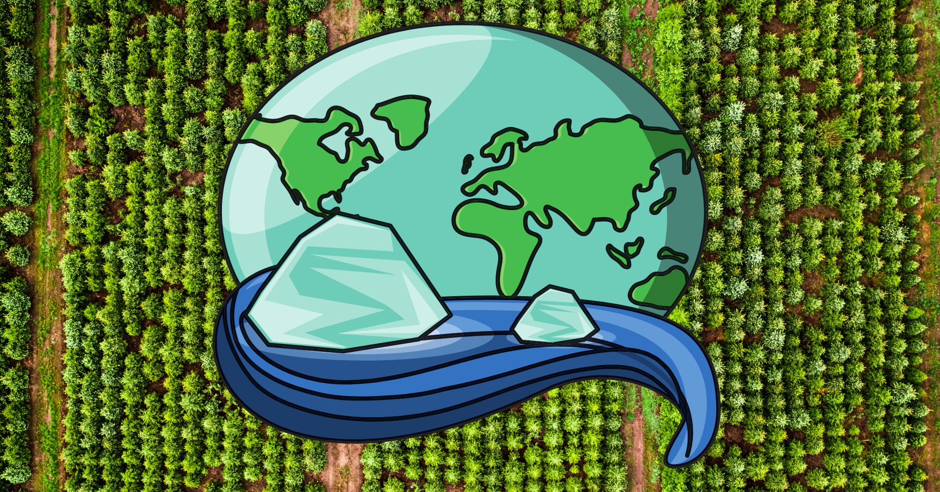 Why planting as many trees as possible may not be the solution to the climate crisis