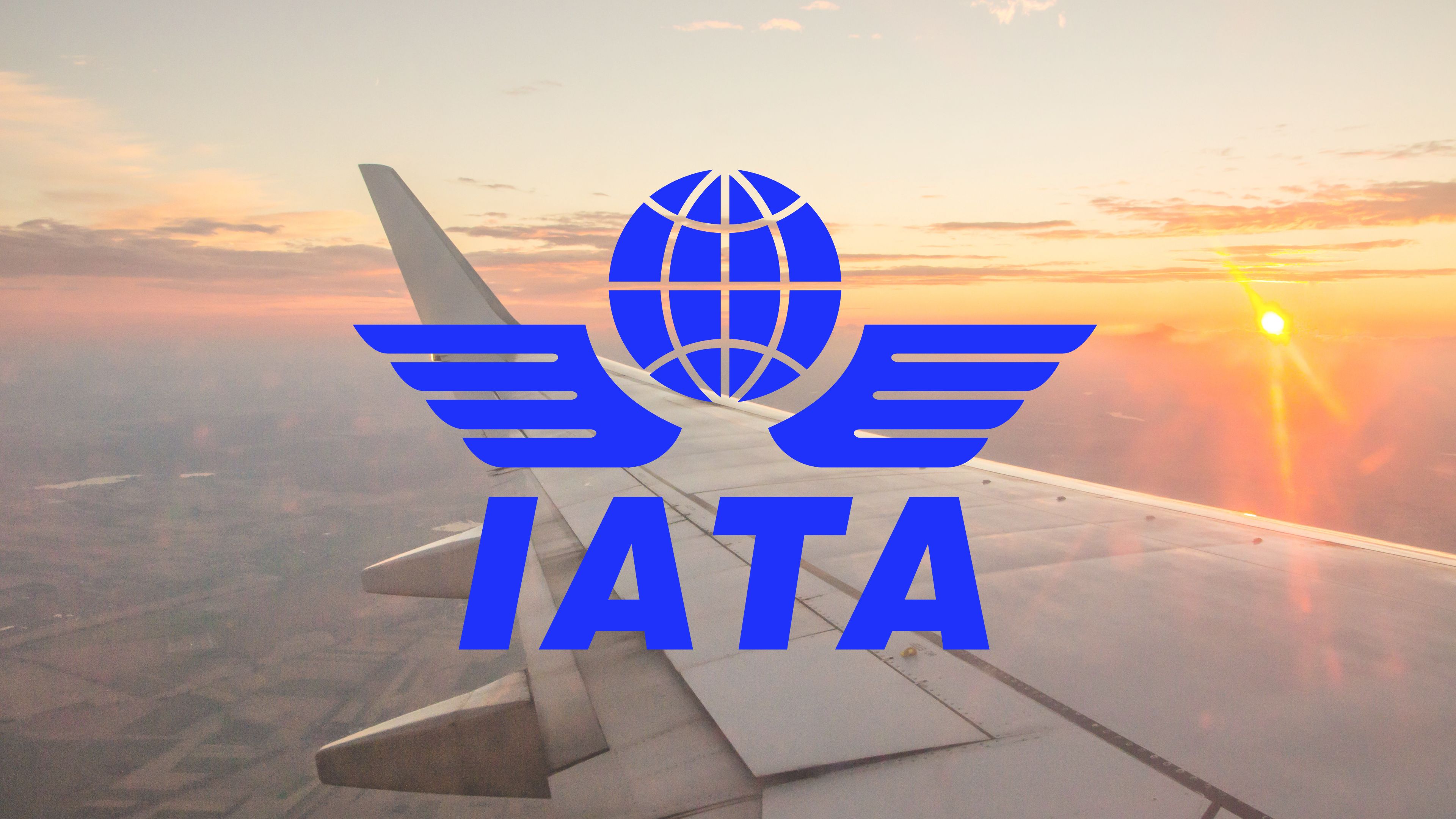 Airline passengers, profits to hit record highs in 2024