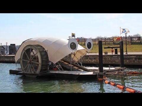 Do you really need Starlink? Time to dispense with the myths