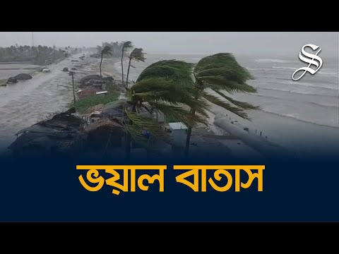 The moon is a cheeseball and we are effervescent