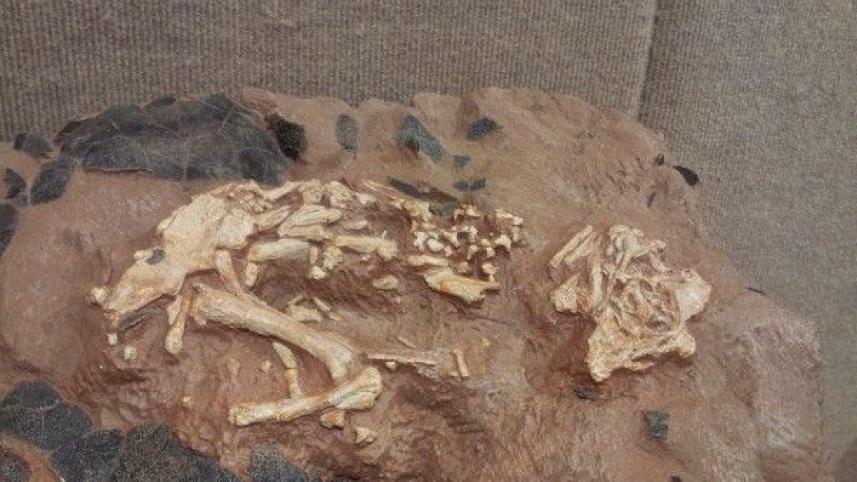 20160225_111902.b57a6171302.original (1).jpg