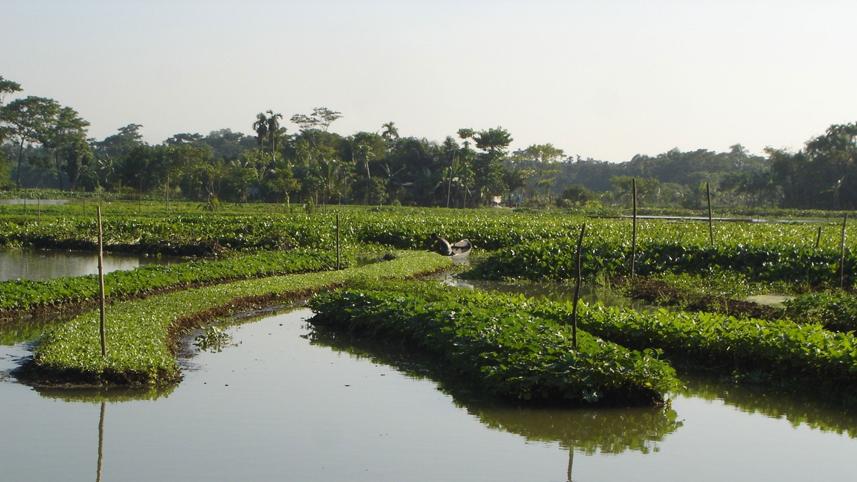 floating-agriculture.jpg