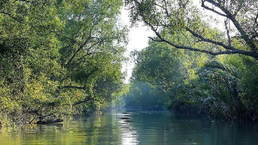 responsibility-protect-Sundarbans.jpg
