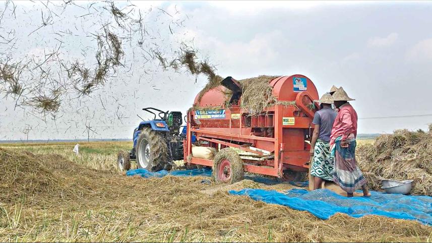Farmers-thresh-paddy.jpg