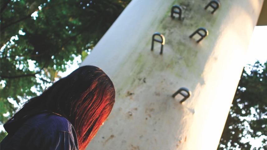 A fight to the death1.jpg