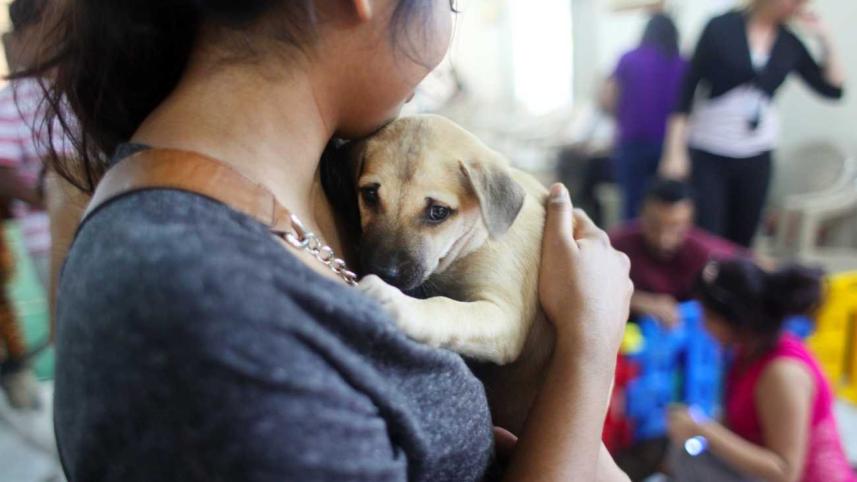 A NEW VICTORY ON THE HORIZON