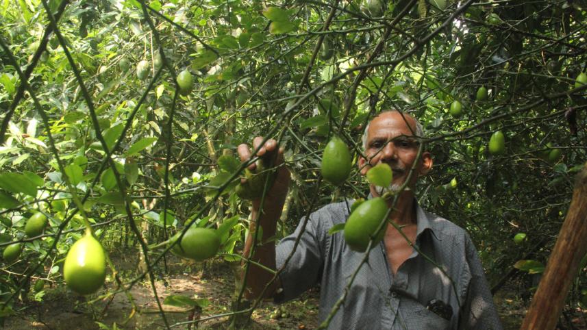 Amir Hossain Mia.jpg