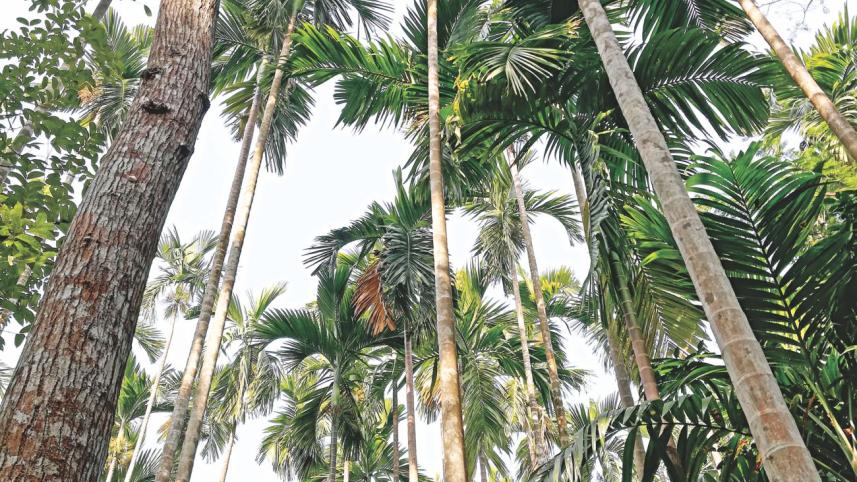 Barishal the unspoilt