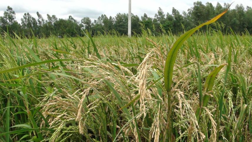 Blast attacks Boro 1.jpg