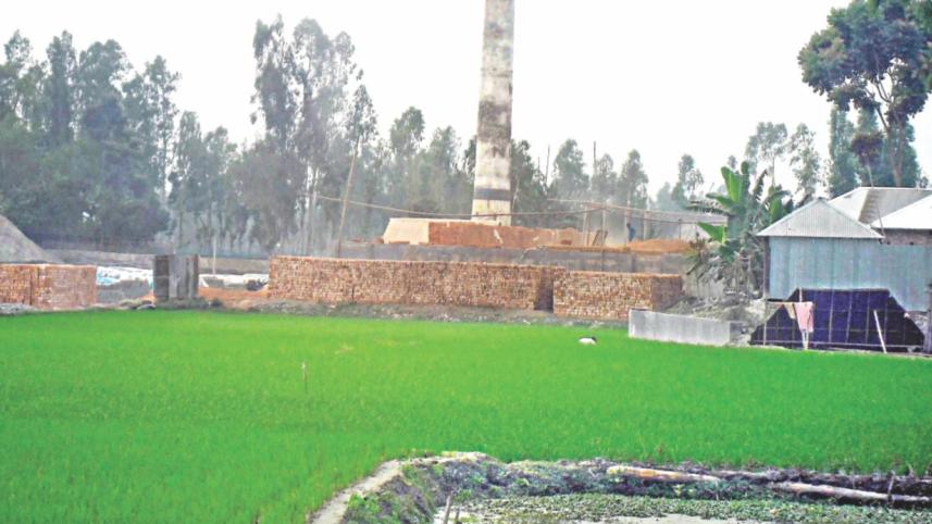 Brickfields in croplands.jpg