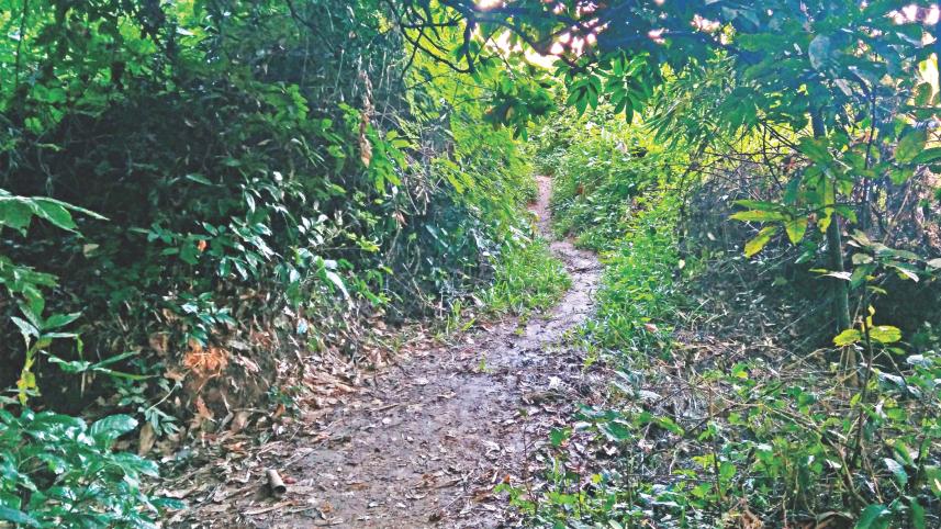 Chzanpur village.jpg