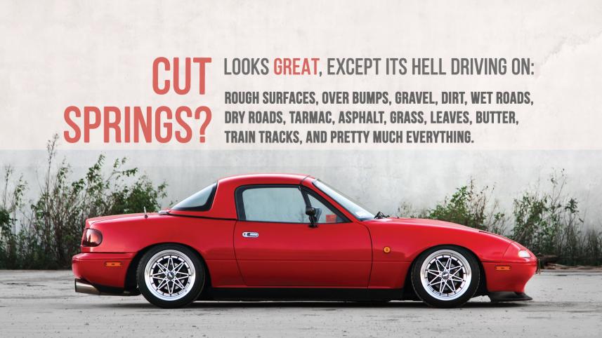 cut springs intro.jpg