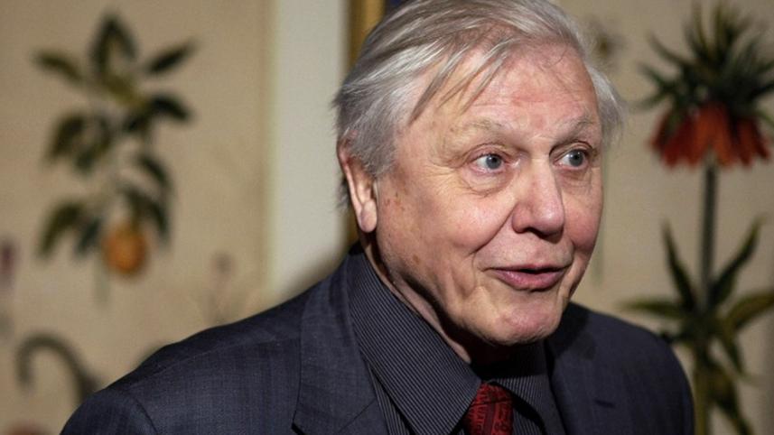 David-Attenborough-2WB.jpg