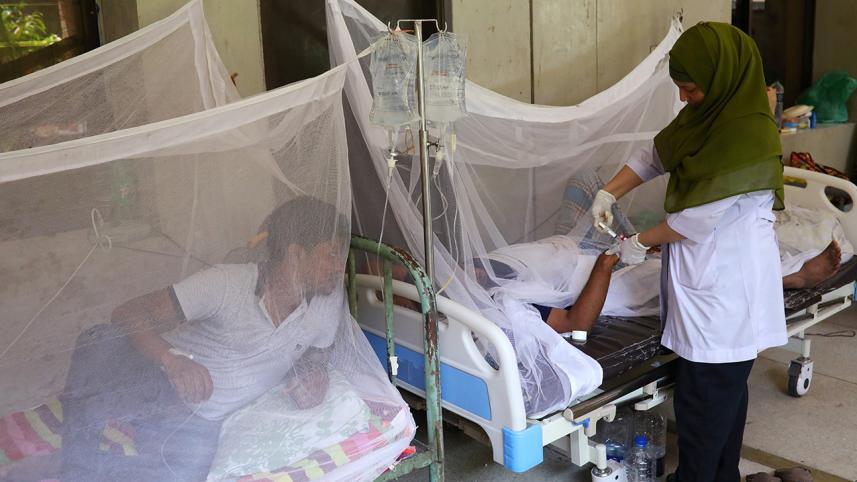 dengue fever patients