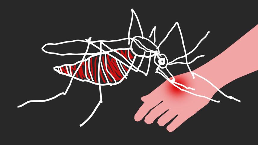 Dengue fever outbreak in Bangladesh