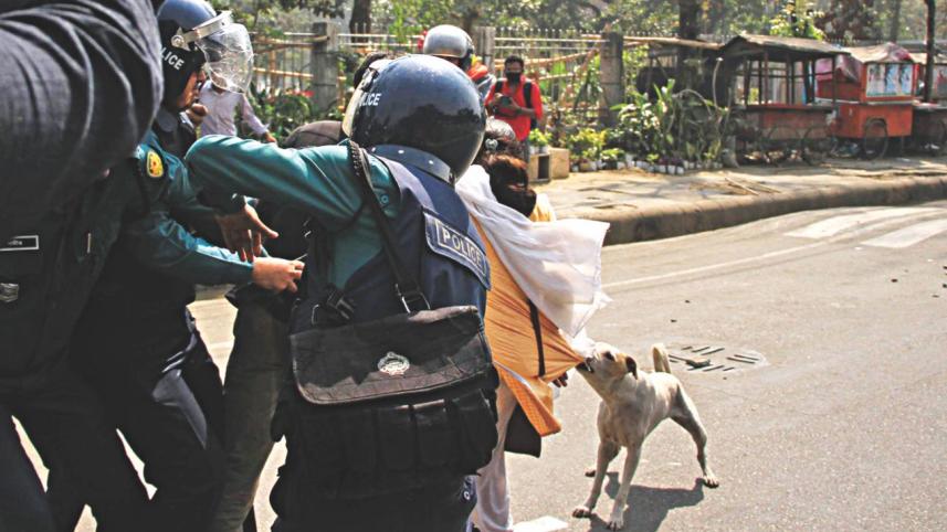 dog saving woman.jpg