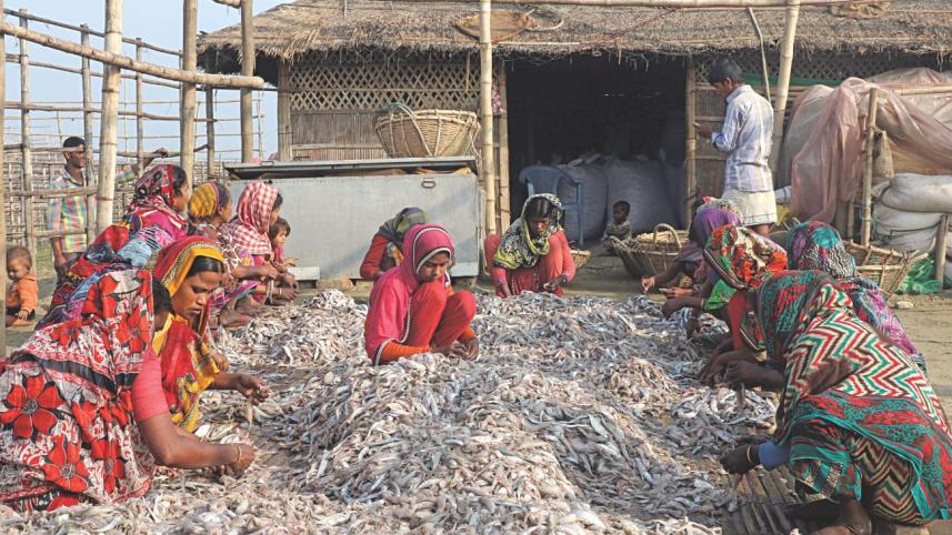 Dry fish1.jpg