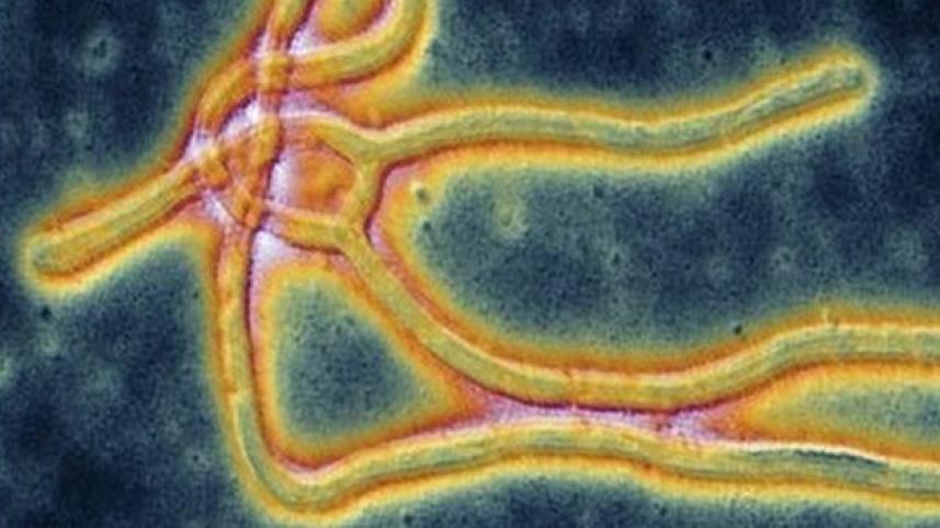 ebola bbc.jpg